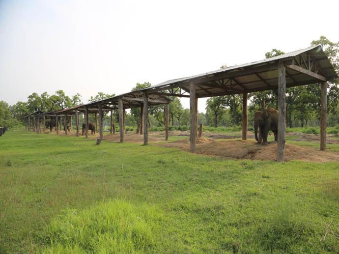 Hotel Royal Safari Sauraha Εξωτερικό φωτογραφία